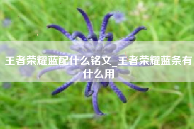 王者荣耀蓝配什么铭文_王者荣耀蓝条有什么用