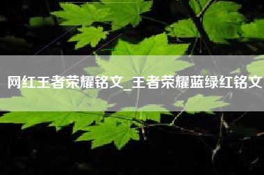 网红王者荣耀铭文_王者荣耀蓝绿红铭文