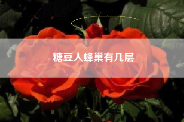 糖豆人蜂巢有几层