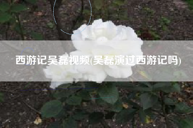 西游记吴磊视频(吴磊演过西游记吗)