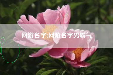 网游名字(网游名字男霸气)