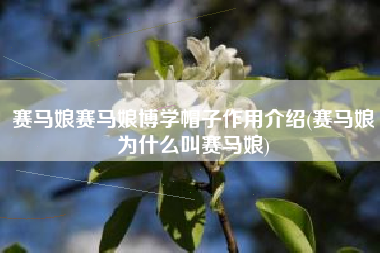 赛马娘赛马娘博学帽子作用介绍(赛马娘为什么叫赛马娘)