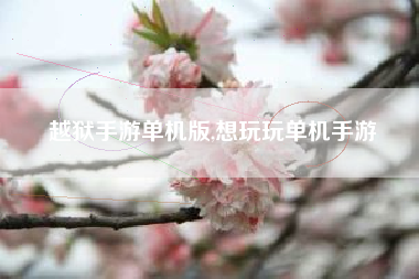 越狱手游单机版,想玩玩单机手游