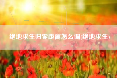 绝地求生归零距离怎么调(绝地求生)