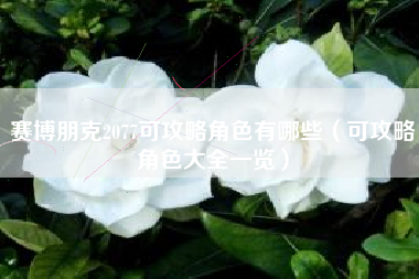 赛博朋克2077可攻略角色有哪些（可攻略角色大全一览）