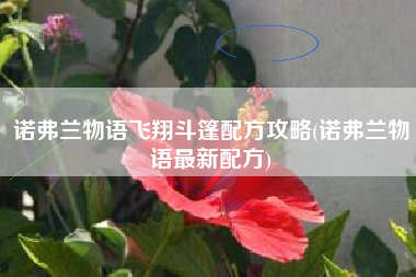诺弗兰物语飞翔斗篷配方攻略(诺弗兰物语最新配方)