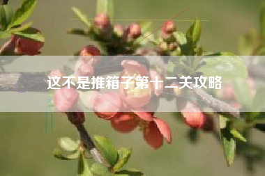 这不是推箱子第十二关攻略