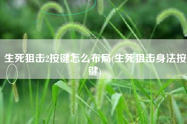 生死狙击2按键怎么布局(生死狙击身法按键)