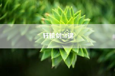 轩辕剑7R键