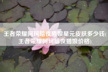 王者荣耀阿珂暗夜猫娘星元皮肤多少钱(王者荣耀阿珂暗夜猫娘价格)