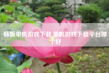 韩版单机游戏下载,单机游戏下载平台哪个好