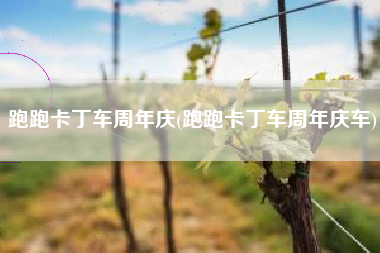 跑跑卡丁车周年庆(跑跑卡丁车周年庆车)