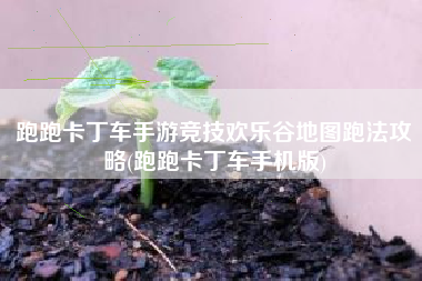 跑跑卡丁车手游竞技欢乐谷地图跑法攻略(跑跑卡丁车手机版)