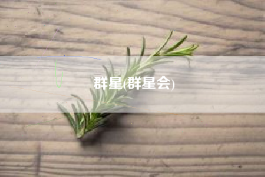 群星(群星会)