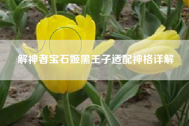 解神者宝石姬黑王子适配神格详解