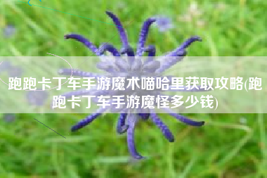 跑跑卡丁车手游魔术喵哈里获取攻略(跑跑卡丁车手游魔怪多少钱)