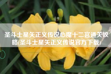 圣斗士星矢正义传说心魔十二宫通关攻略(圣斗士星矢正义传说官方下载)