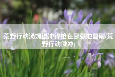 荒野行动汤姆逊冲锋枪在哪张地图刷(荒野行动微冲)