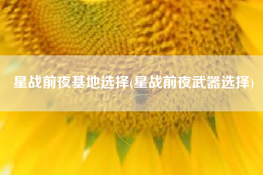 星战前夜基地选择(星战前夜武器选择)