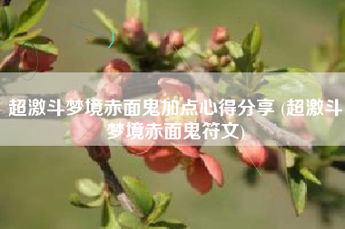 超激斗梦境赤面鬼加点心得分享 (超激斗梦境赤面鬼符文)