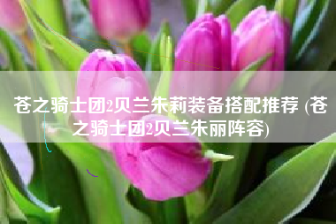 苍之骑士团2贝兰朱莉装备搭配推荐 (苍之骑士团2贝兰朱丽阵容)