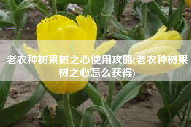 老农种树果树之心使用攻略(老农种树果树之心怎么获得)