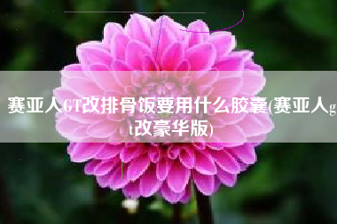 赛亚人GT改排骨饭要用什么胶囊(赛亚人gt改豪华版)