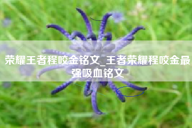 荣耀王者程咬金铭文_王者荣耀程咬金最强吸血铭文