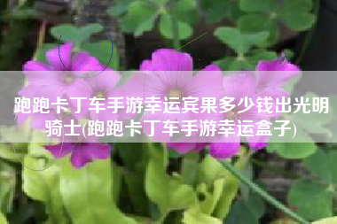跑跑卡丁车手游幸运宾果多少钱出光明骑士(跑跑卡丁车手游幸运盒子)
