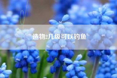 造物2几级可以钓鱼