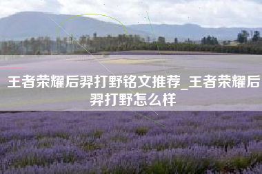 王者荣耀后羿打野铭文推荐_王者荣耀后羿打野怎么样