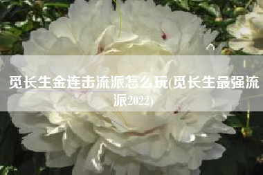 觅长生金连击流派怎么玩(觅长生最强流派2022)