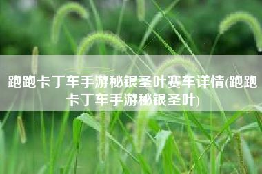 跑跑卡丁车手游秘银圣叶赛车详情(跑跑卡丁车手游秘银圣叶)