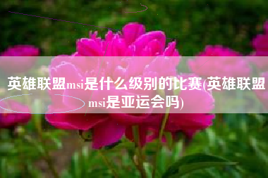 英雄联盟msi是什么级别的比赛(英雄联盟msi是亚运会吗)