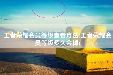 王者荣耀会员等级查看方法(王者荣耀会员等级多久会掉)