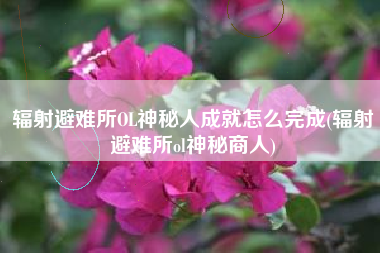 辐射避难所OL神秘人成就怎么完成(辐射避难所ol神秘商人)