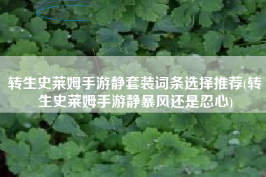 转生史莱姆手游静套装词条选择推荐(转生史莱姆手游静暴风还是忍心)