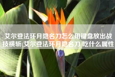 艾尔登法环月隐名刀怎么用键盘放出战技横斩(艾尔登法环月隐名刀 吃什么属性)