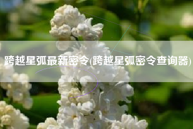 跨越星弧最新密令(跨越星弧密令查询器)