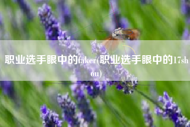 职业选手眼中的faker(职业选手眼中的17shou)