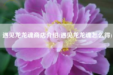 遇见龙龙魂商店介绍(遇见龙龙魂怎么得)