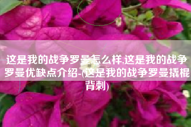 这是我的战争罗曼怎么样,这是我的战争罗曼优缺点介绍-(这是我的战争罗曼撬棍背刺)