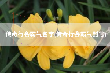传奇行会霸气名字(传奇行会霸气封号)