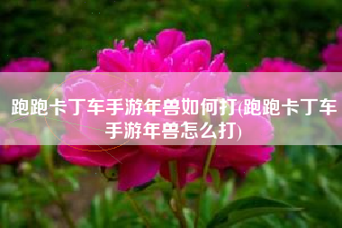 跑跑卡丁车手游年兽如何打(跑跑卡丁车手游年兽怎么打)
