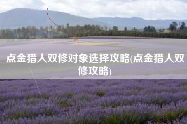点金猎人双修对象选择攻略(点金猎人双修攻略)