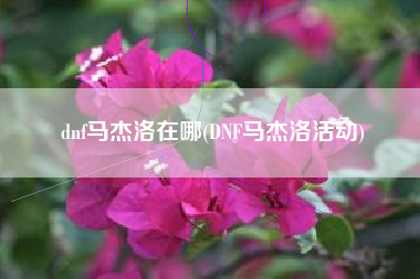 dnf马杰洛在哪(DNF马杰洛活动)