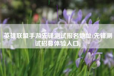 英雄联盟手游先锋测试报名地址(先锋测试招募体验入口)