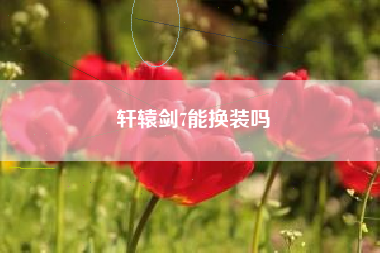 轩辕剑7能换装吗