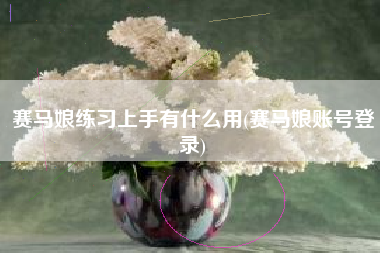 赛马娘练习上手有什么用(赛马娘账号登录)
