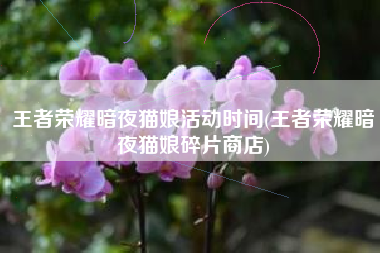 王者荣耀暗夜猫娘活动时间(王者荣耀暗夜猫娘碎片商店)